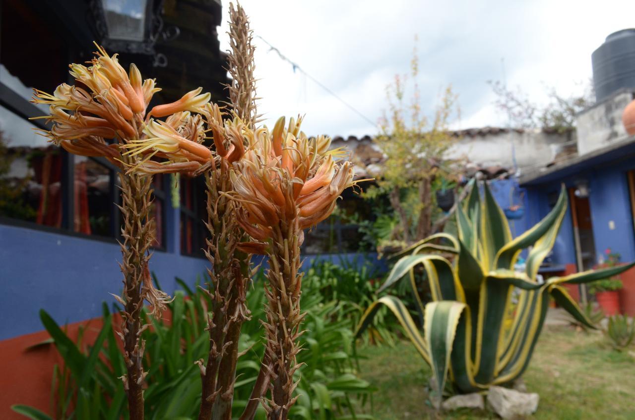 Hostal El Rincon De Los Camellos San Cristobal de las Casas Luaran gambar