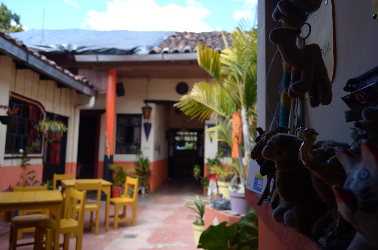 Hostal El Rincon De Los Camellos San Cristobal de las Casas Luaran gambar