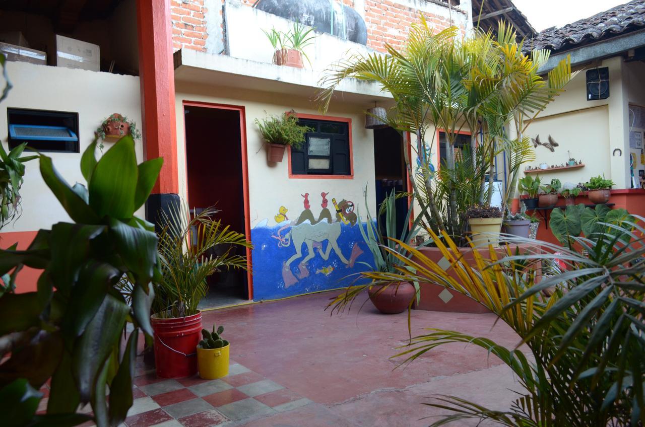 Hostal El Rincon De Los Camellos San Cristobal de las Casas Luaran gambar