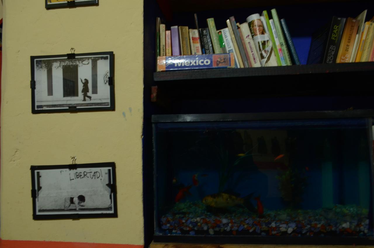 Hostal El Rincon De Los Camellos San Cristobal de las Casas Luaran gambar