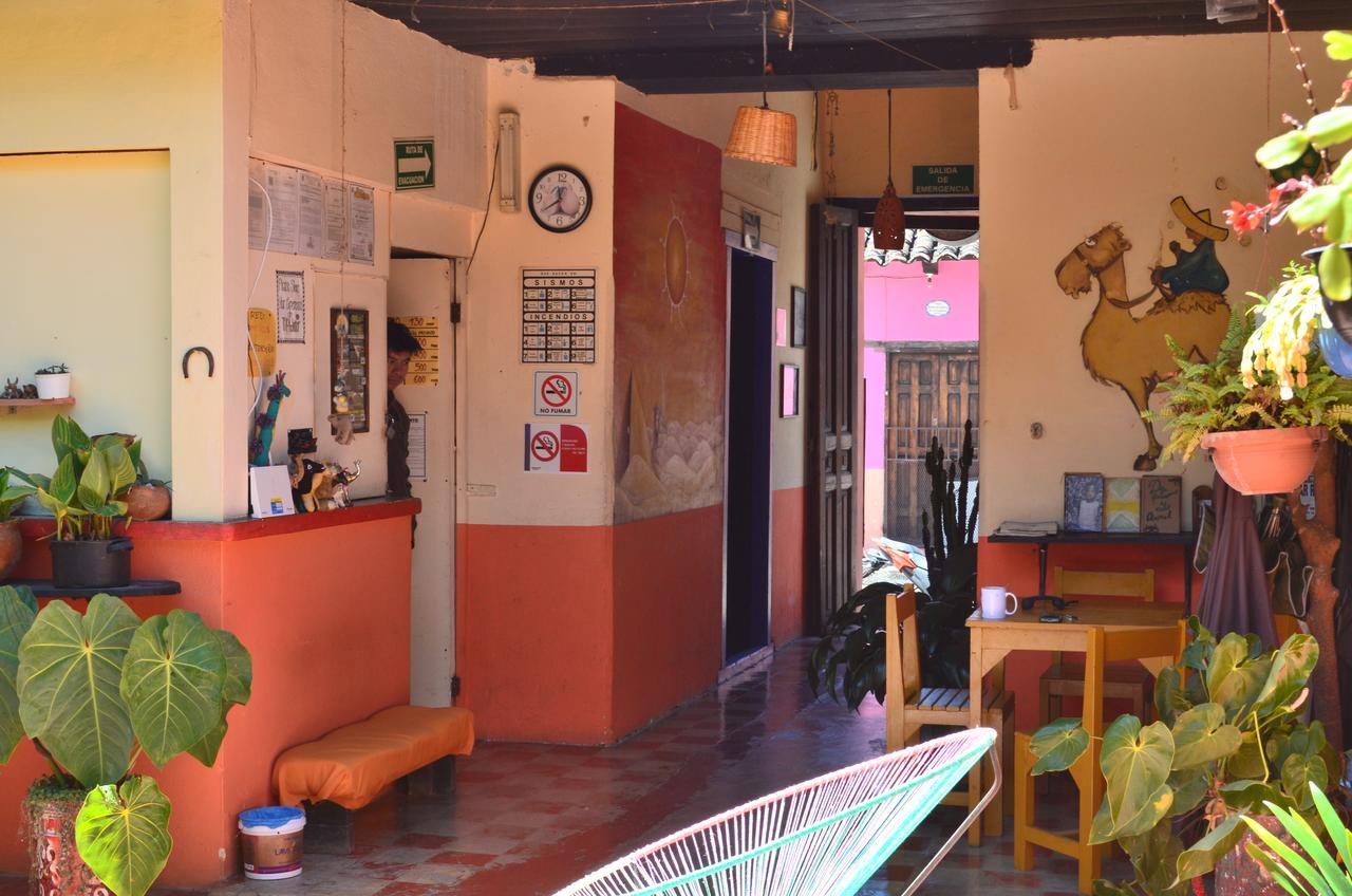 Hostal El Rincon De Los Camellos San Cristobal de las Casas Luaran gambar