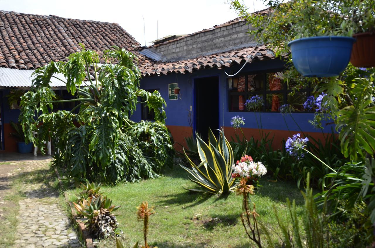 Hostal El Rincon De Los Camellos San Cristobal de las Casas Luaran gambar