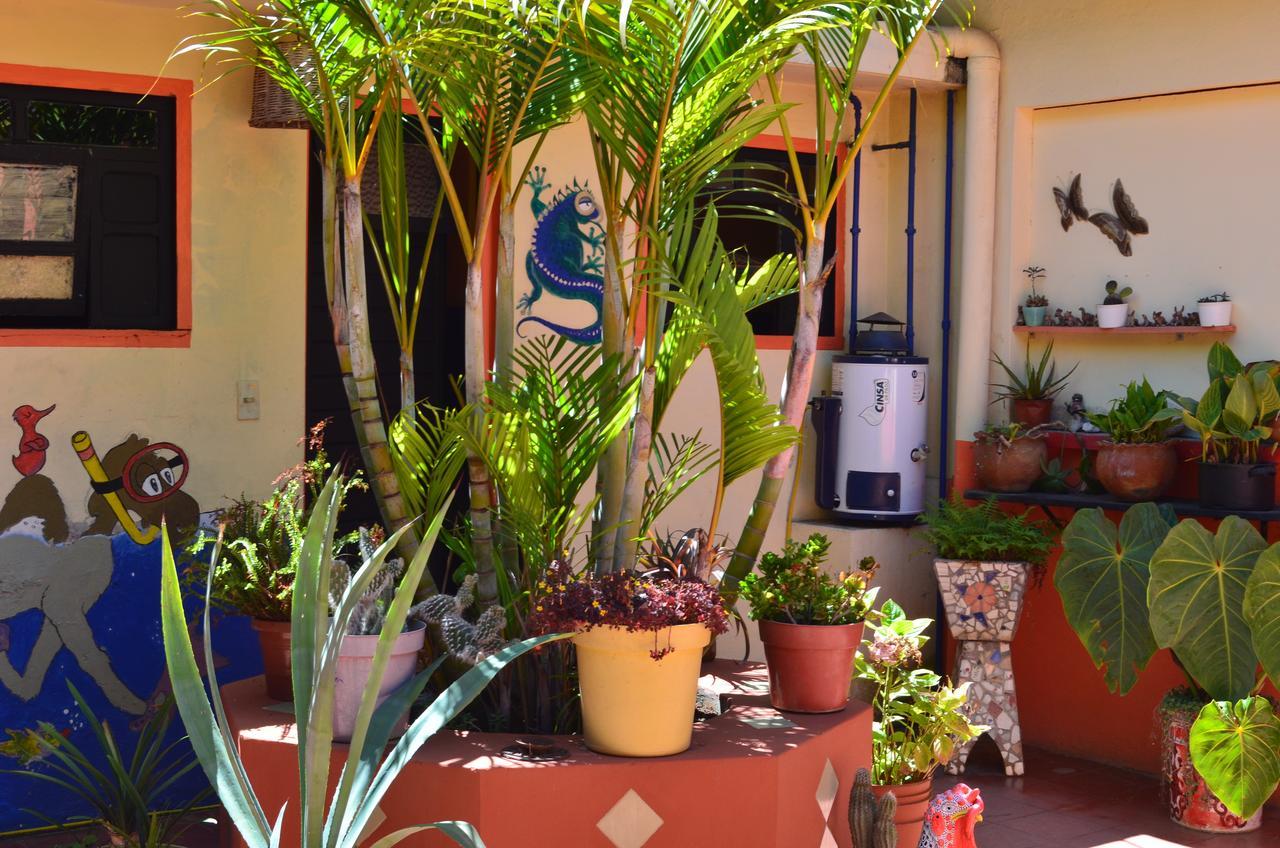 Hostal El Rincon De Los Camellos San Cristobal de las Casas Luaran gambar