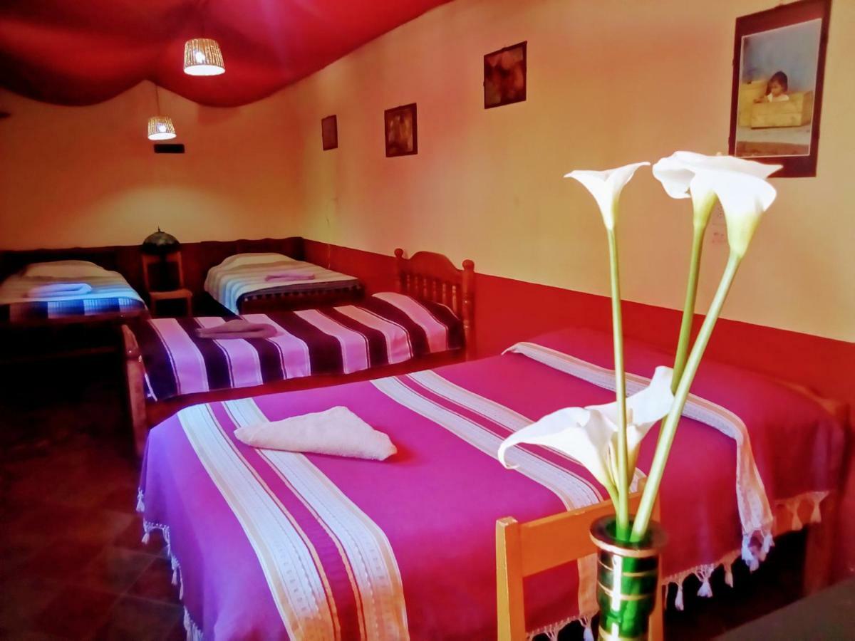 Hostal El Rincon De Los Camellos San Cristobal de las Casas Luaran gambar